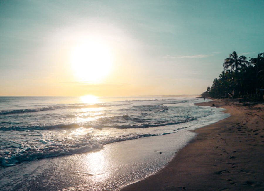 palomino sunrise waves