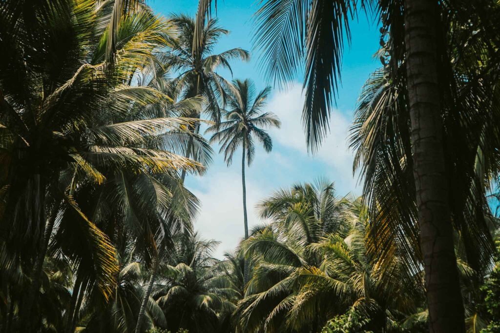 Tayrona National Park