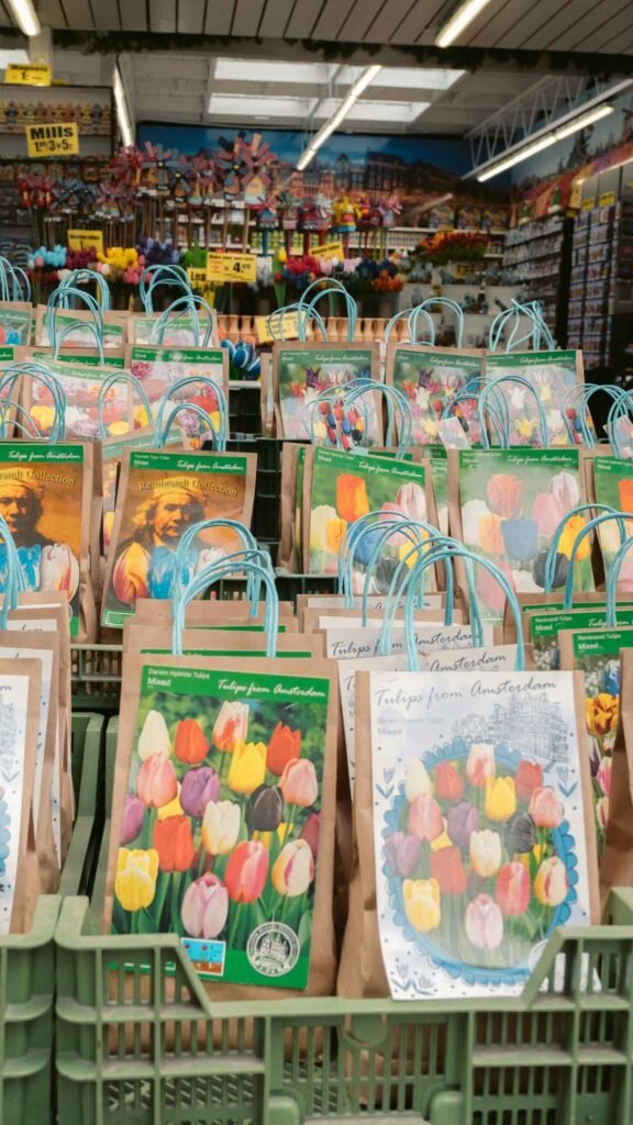 Tulips markt Netherlands