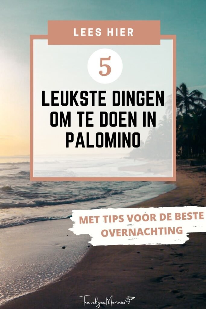 wat te doen in Palomino Pin II
