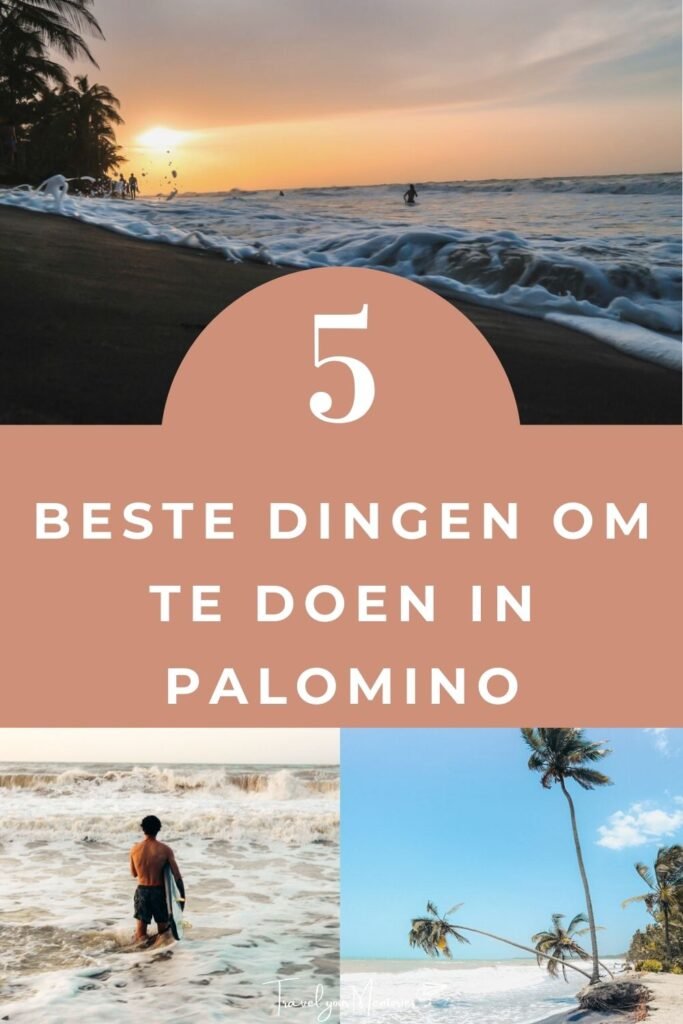 wat te doen in Palomino Pin III