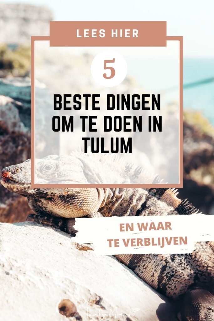 wat te doen in Tulum pin II
