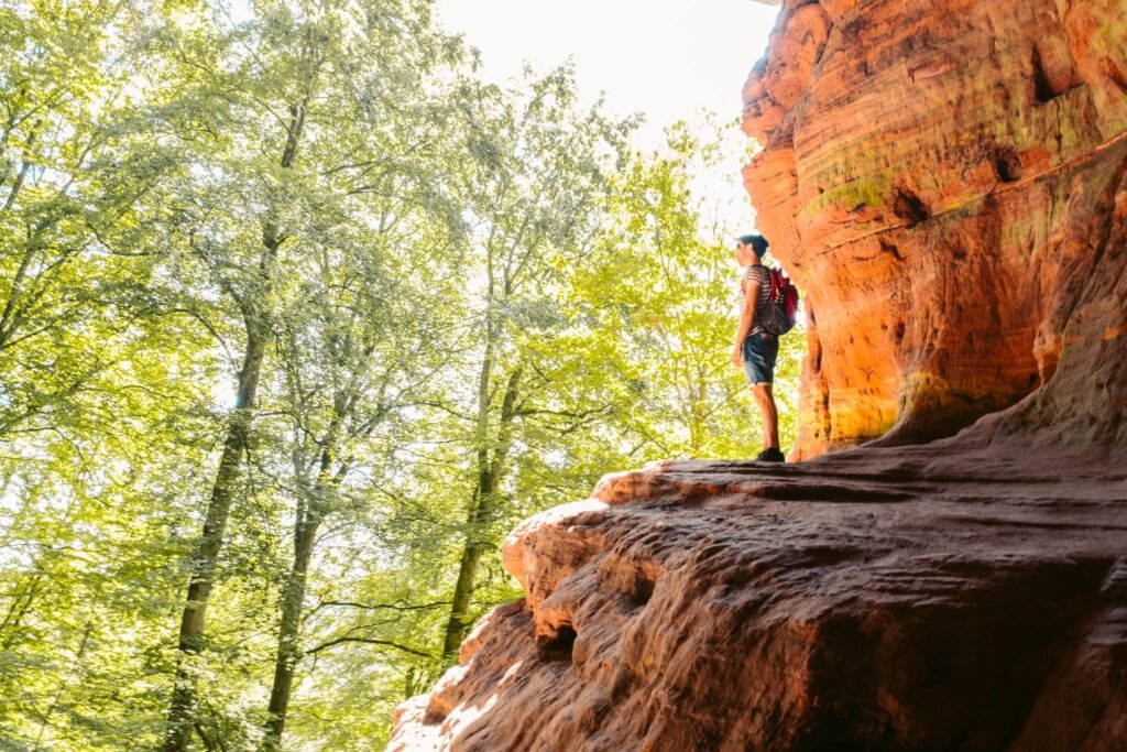 Römerpfad viewpoint