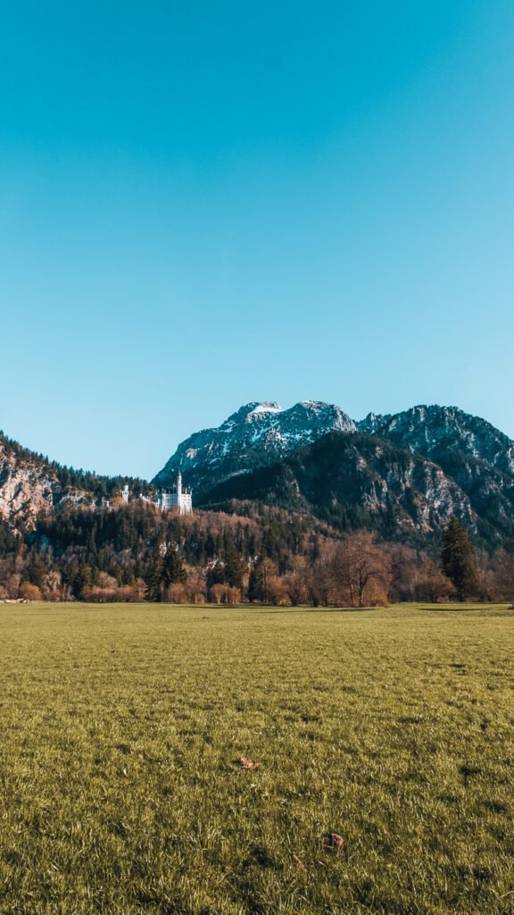 Neuschwanstein view