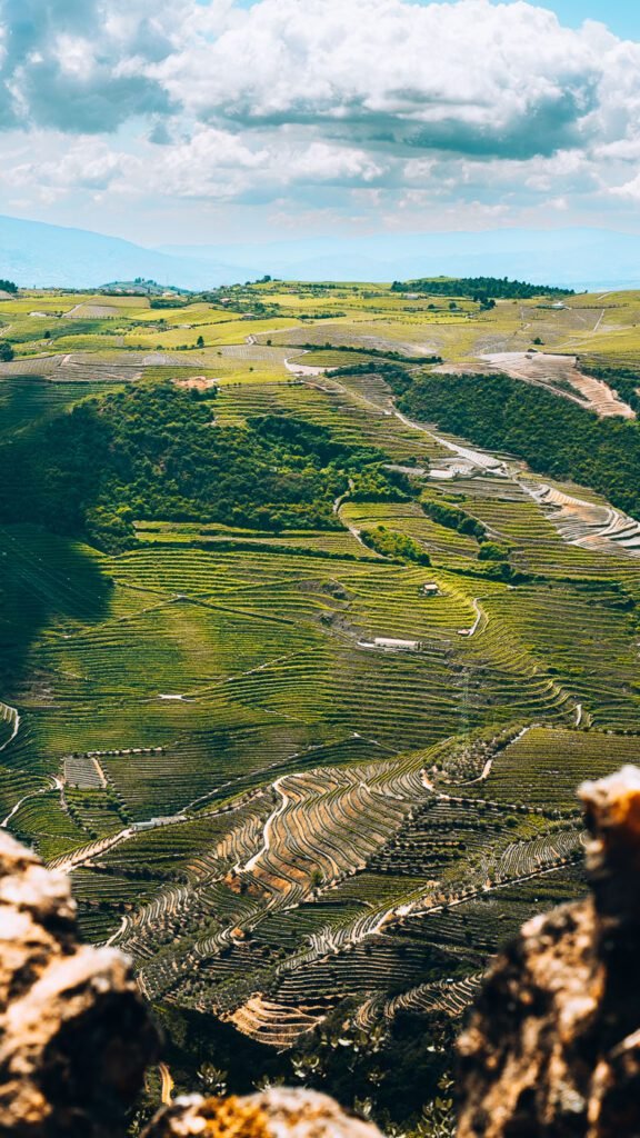 Douro Valley scenery