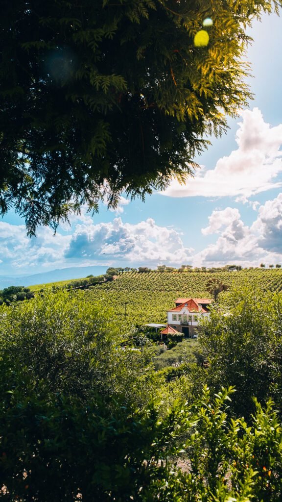 Quinta Douro Valley