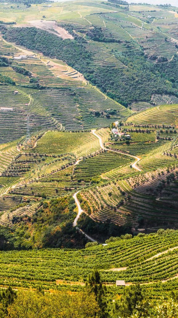 Roads Douro Valley