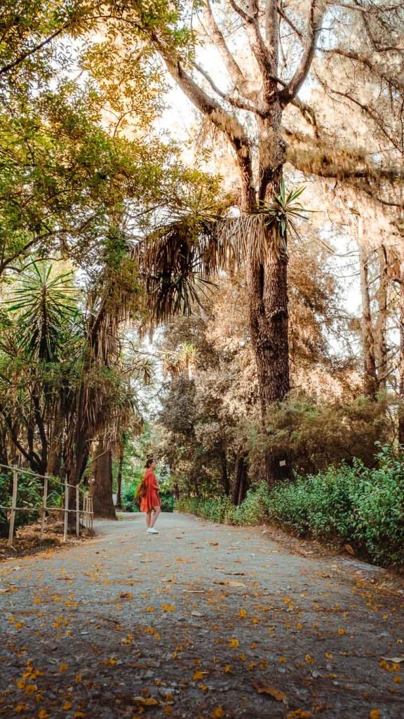 ardins do Parque da Pena
