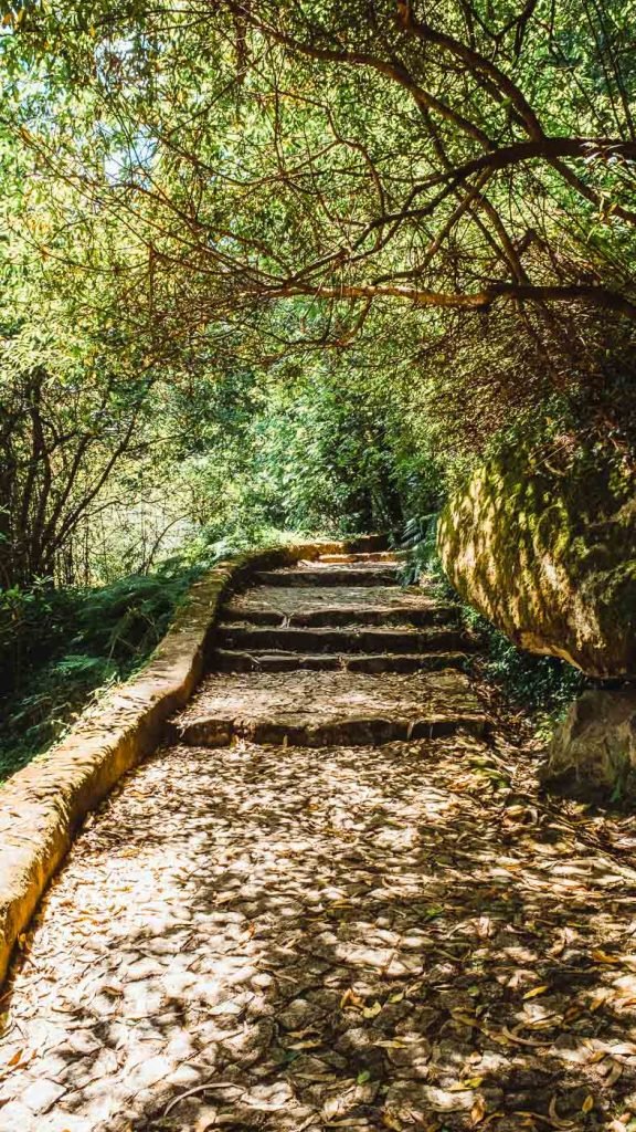 Hike at Jardins do Parque da Pena. Sintra