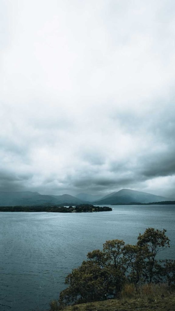 Hike Balmaha Millennium Forest path