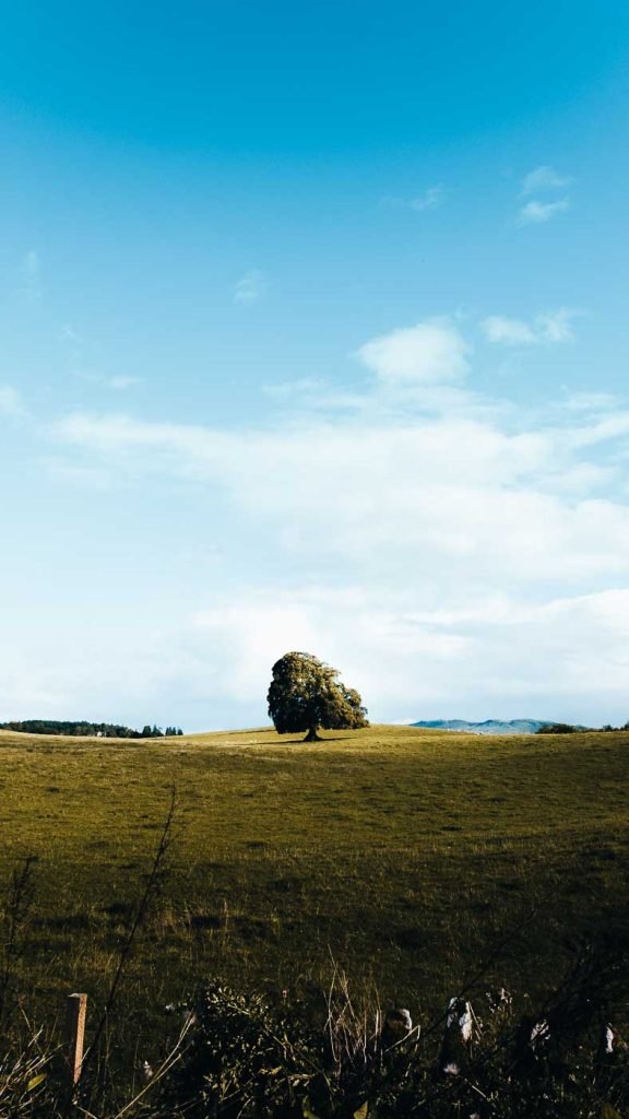 Loch lomond things to do