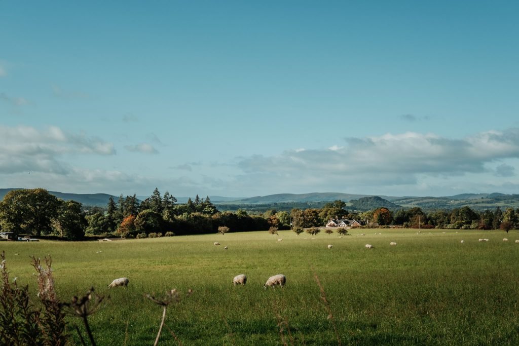 Loch Lomond green hills